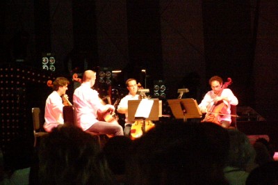train string quartet closeup 2 web.jpg